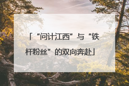 “问计江西”与“铁杆粉丝”的双向奔赴