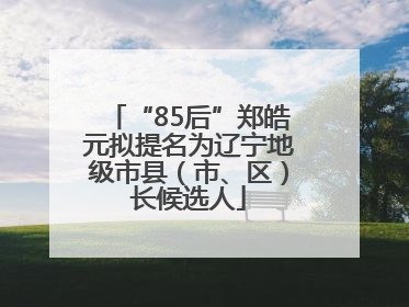 “85后”郑皓元拟提名为辽宁地级市县（市、区）长候选人