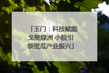 玉门：科技赋能戈壁绿洲 小院引领蜜瓜产业振兴