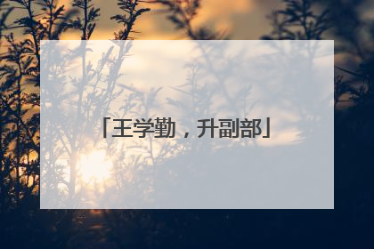 王学勤，升副部