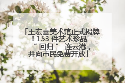 王宏喜美术馆正式揭牌！153 件艺术珍品 “ 回归 ” 连云港，并向市民免费开放