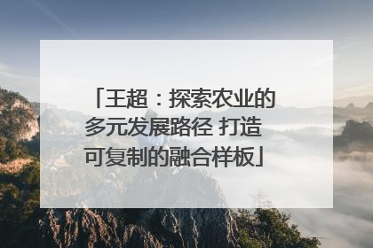 王超：探索农业的多元发展路径 打造可复制的融合样板