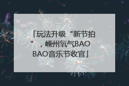 玩法升级“新节拍”，嵊州氧气BAOBAO音乐节收官