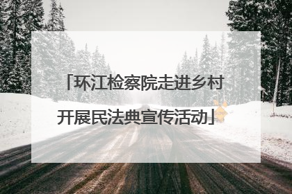 环江检察院走进乡村开展民法典宣传活动