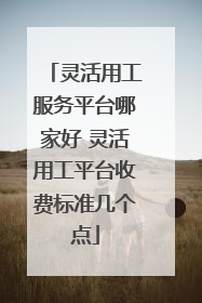 灵活用工服务平台哪家好 灵活用工平台收费标准几个点