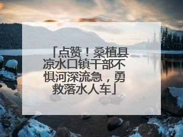 点赞！桑植县凉水口镇干部不惧河深流急，勇救落水人车