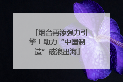 烟台再添强力引擎！助力“中国制造”破浪出海