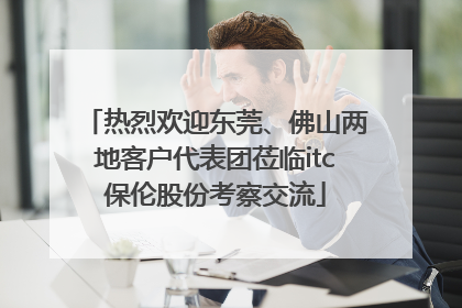 热烈欢迎东莞、佛山两地客户代表团莅临itc保伦股份考察交流