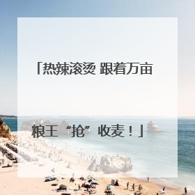 热辣滚烫 跟着万亩粮王“抢”收麦！