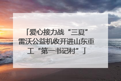 爱心接力战“三夏” 雷沃公益机收开进山东重工“第一书记村”
