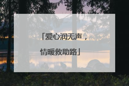 爱心润无声，情暖救助路