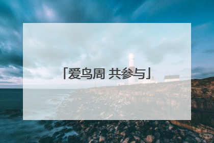 爱鸟周 共参与