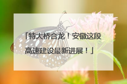 特大桥合龙！安徽这段高速建设最新进展！