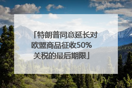 特朗普同意延长对欧盟商品征收50%关税的最后期限