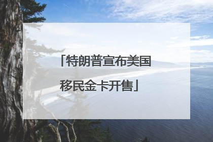 特朗普宣布美国移民金卡开售