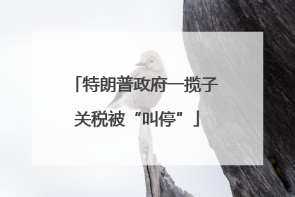 特朗普政府一揽子关税被“叫停”