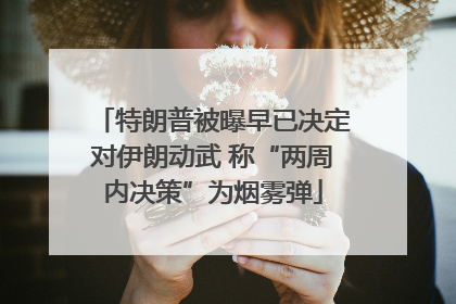 特朗普被曝早已决定对伊朗动武 称“两周内决策”为烟雾弹