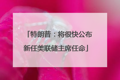 特朗普：将很快公布新任美联储主席任命