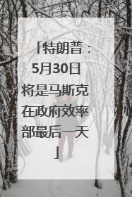 特朗普：5月30日将是马斯克在政府效率部最后一天