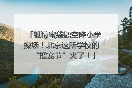 狐獴蜜袋鼯空降小学操场！北京这所学校的“撸宠节”火了！