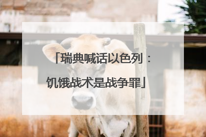 瑞典喊话以色列：饥饿战术是战争罪