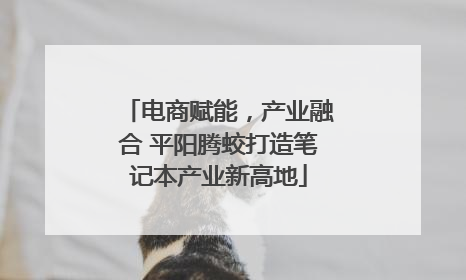 电商赋能，产业融合 平阳腾蛟打造笔记本产业新高地