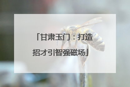 甘肃玉门：打造招才引智强磁场