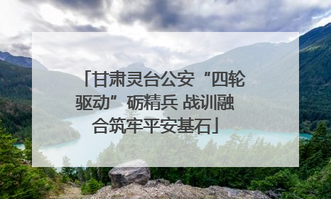 甘肃灵台公安“四轮驱动”砺精兵 战训融合筑牢平安基石