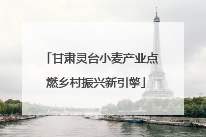 甘肃灵台小麦产业点燃乡村振兴新引擎