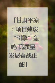甘肃平凉：项目建设“引擎”轰鸣 高质量发展奋战正酣