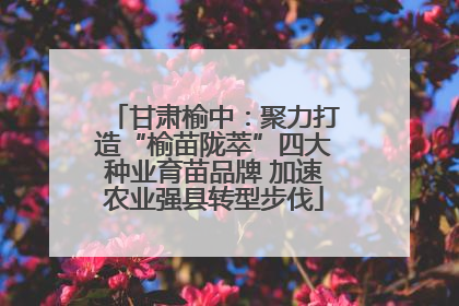 甘肃榆中：聚力打造“榆苗陇萃”四大种业育苗品牌 加速农业强县转型步伐