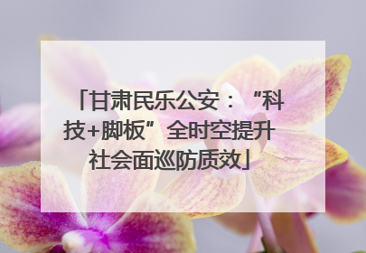 甘肃民乐公安：“科技+脚板”全时空提升社会面巡防质效