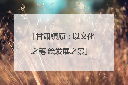 甘肃镇原：以文化之笔 绘发展之景