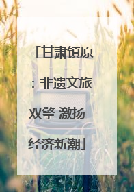 甘肃镇原：非遗文旅双擎 激扬经济新潮