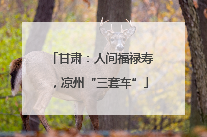 甘肃：人间福禄寿，凉州“三套车”