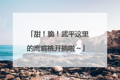 甜！脆！武平这里的鹰嘴桃开摘啦～
