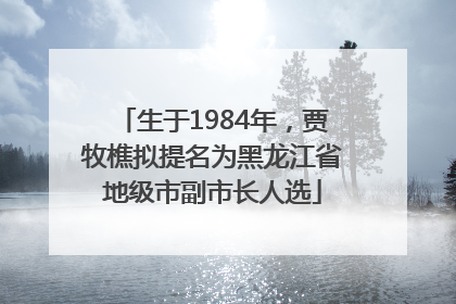 生于1984年，贾牧樵拟提名为黑龙江省地级市副市长人选