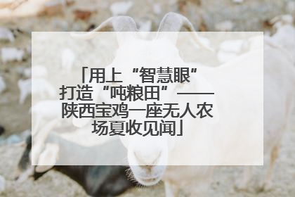 用上“智慧眼” 打造“吨粮田”——陕西宝鸡一座无人农场夏收见闻
