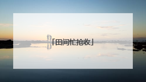 田间忙抢收