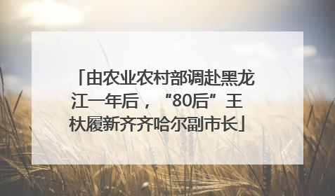 由农业农村部调赴黑龙江一年后，“80后”王杕履新齐齐哈尔副市长