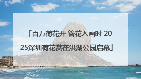 百万荷花开 簪花入画时 2025深圳荷花赏在洪湖公园启幕