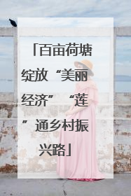 百亩荷塘绽放“美丽经济”“莲”通乡村振兴路
