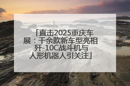 直击2025重庆车展：千余款新车型亮相 歼-10C战斗机与人形机器人引关注