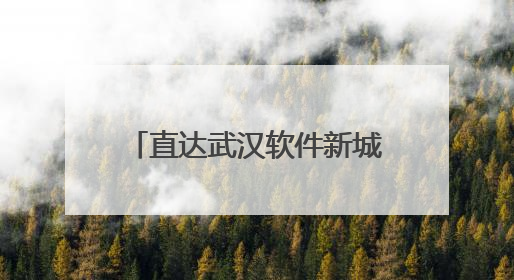 直达武汉软件新城，8条定制公交带“上班族”通勤