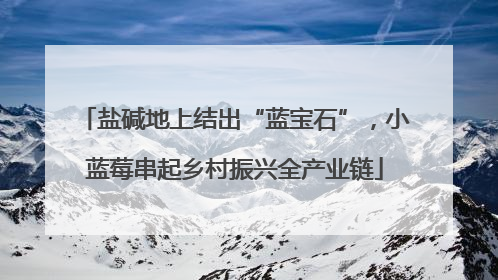 盐碱地上结出“蓝宝石”，小蓝莓串起乡村振兴全产业链