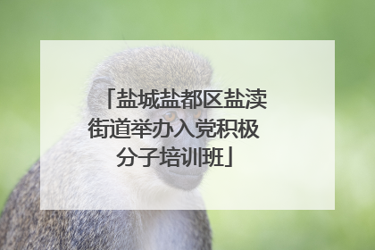 盐城盐都区盐渎街道举办入党积极分子培训班