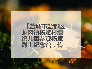 盐城市盐都区龙冈镇杨斌村组织儿童参观杨斌烈士纪念馆，传承红色基因