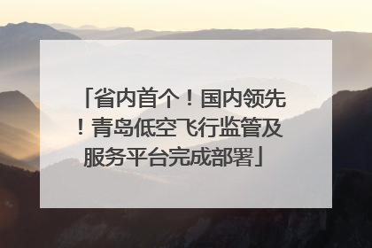省内首个！国内领先！青岛低空飞行监管及服务平台完成部署