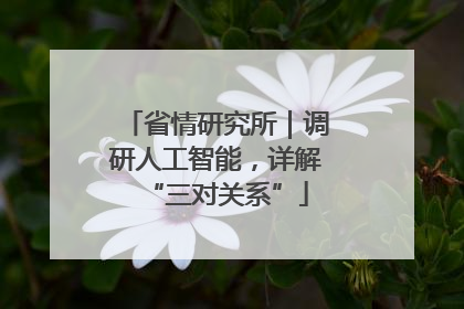 省情研究所｜调研人工智能，详解“三对关系”