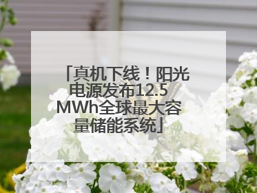 真机下线！阳光电源发布12.5MWh全球最大容量储能系统